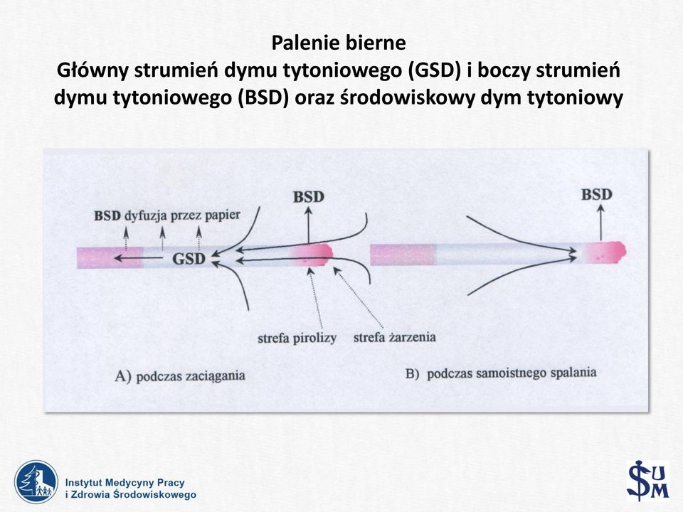 strumień dymu tytoniowego (BSD)