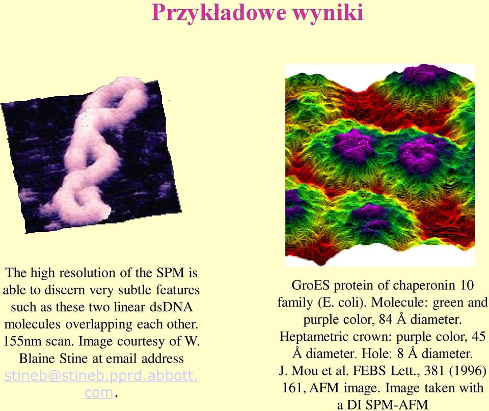 com. GroES protein of chaperonin 10 family (E. coli). Molecule: green and purple color, 84 Å diameter.