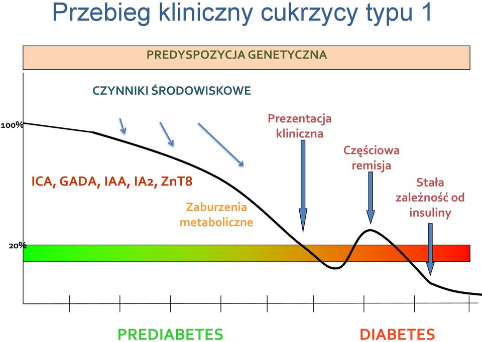 IA2, ZnT8 Zaburzenia metaboliczne Prezentacja kliniczna