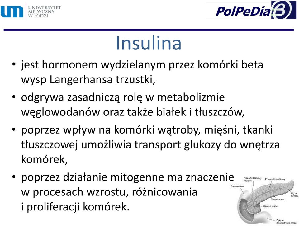 komórki wątroby, mięśni, tkanki tłuszczowej umożliwia transport glukozy do wnętrza komórek,