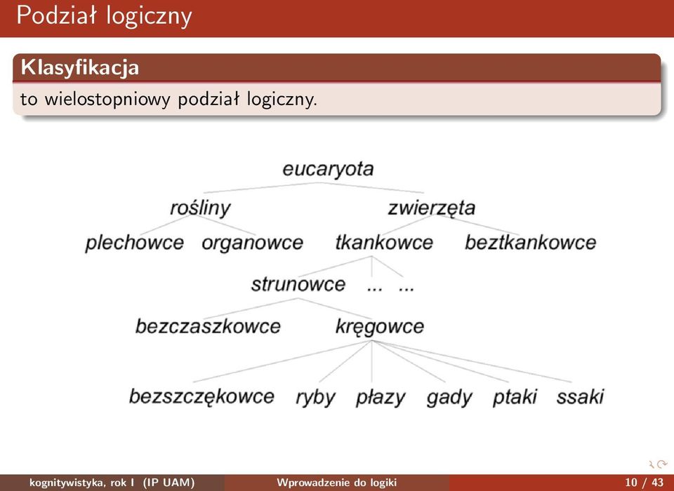 logiczny.