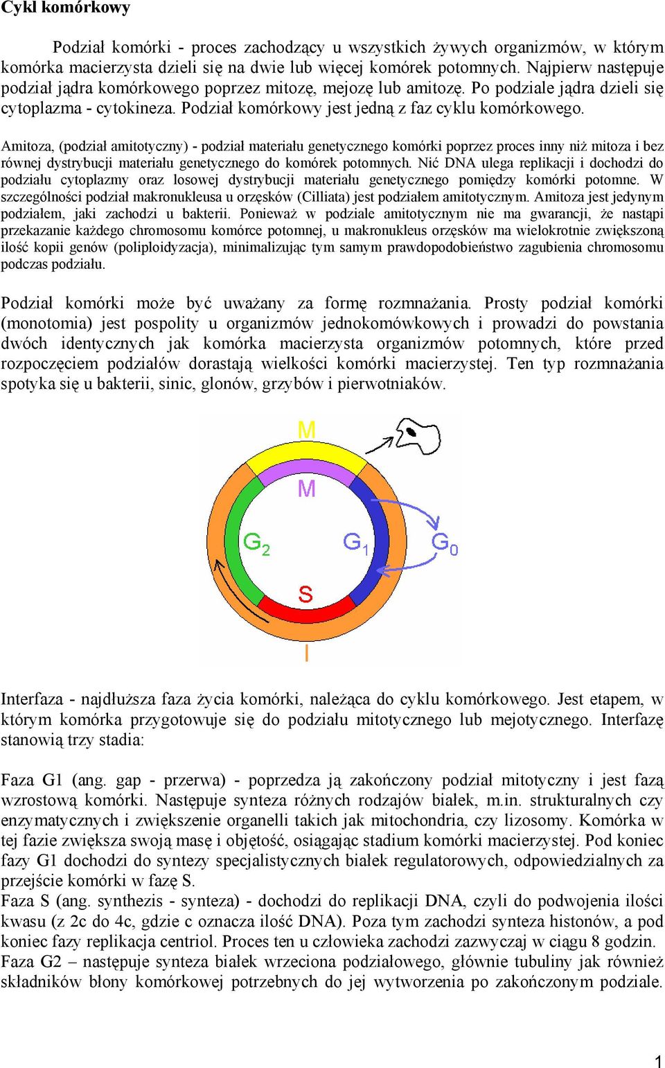 Amitoza, (podział amitotyczny) - podział materiału genetycznego komórki poprzez proces inny niż mitoza i bez równej dystrybucji materiału genetycznego do komórek potomnych.