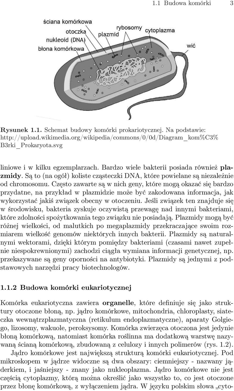 Często zawarte są w nich geny, które mogą okazać się bardzo przydatne, na przykład w plazmidzie może być zakodowana informacja, jak wykorzystać jakiś związek obecny w otoczeniu.