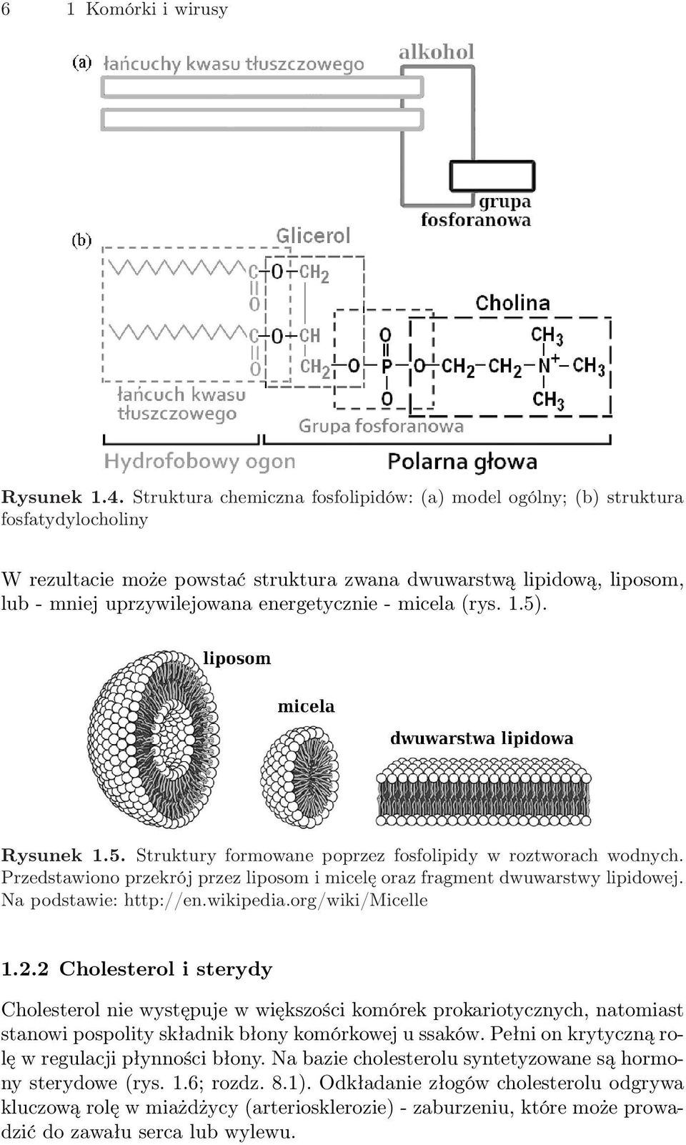 - micela (rys. 1.5). Rysunek 1.5. Struktury formowane poprzez fosfolipidy w roztworach wodnych. Przedstawiono przekrój przez liposom i micelę oraz fragment dwuwarstwy lipidowej.