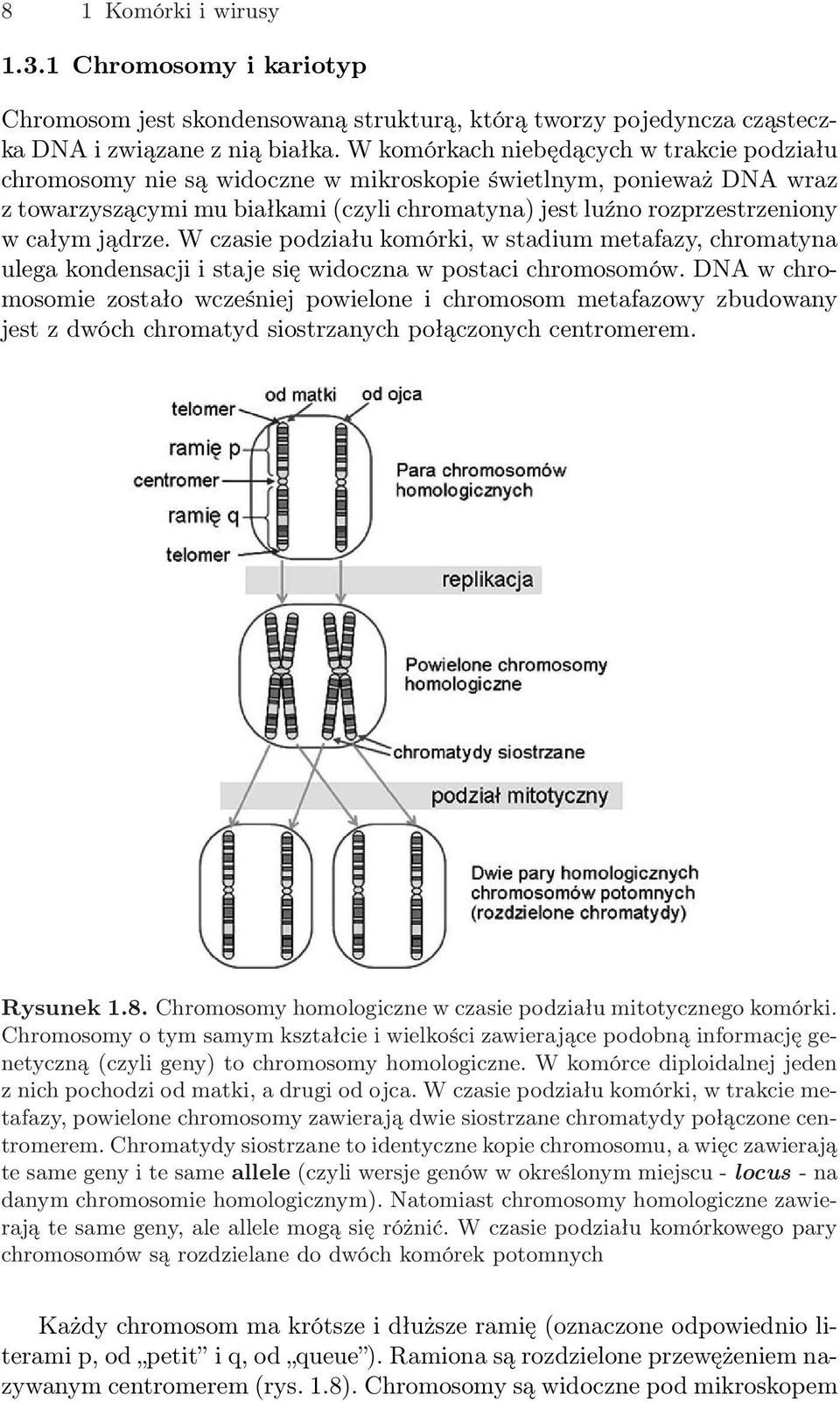 jądrze. W czasie podziału komórki, w stadium metafazy, chromatyna ulega kondensacji i staje się widoczna w postaci chromosomów.