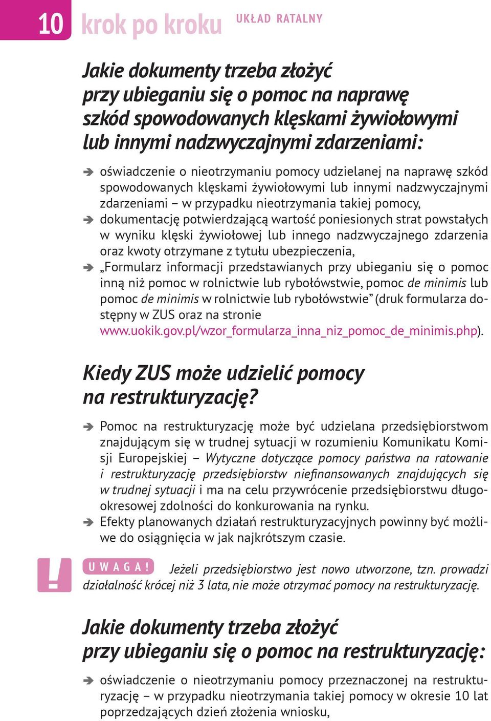 strat powstałych w wyniku klęski żywiołowej lub innego nadzwyczajnego zdarzenia oraz kwoty otrzymane z tytułu ubezpieczenia, Formularz informacji przedstawianych przy ubieganiu się o pomoc inną niż