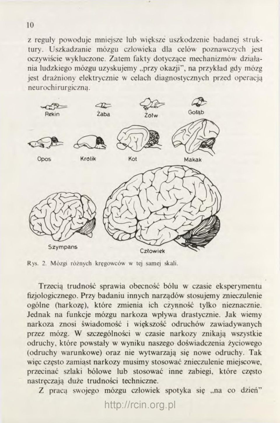 Trzecią trudność sprawia obecność bólu w czasie eksperymentu fizjologicznego. Przy badaniu innych narządów stosujemy znieczulenie ogólne (łiarkozę), które zmienia ich czyrność tylko nieznacznie.