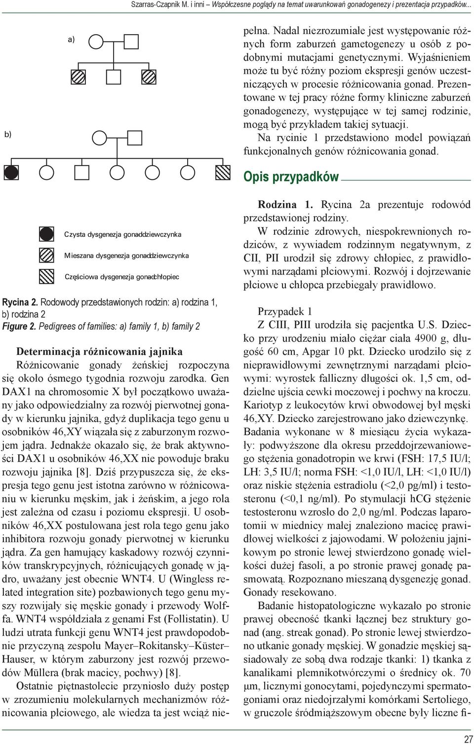 Gen DAX1 na chromosomie X był początkowo uważany jako odpowiedzialny za rozwój pierwotnej gonady w kierunku jajnika, gdyż duplikacja tego genu u osobników 46,XY wiązała się z zaburzonym rozwojem