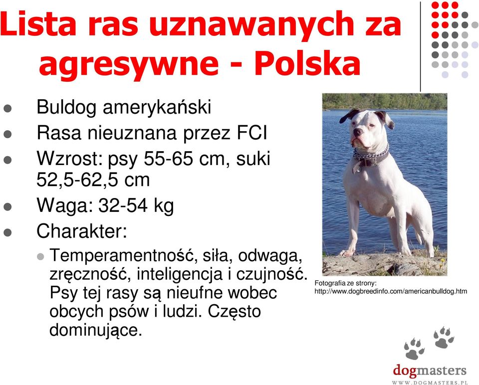 odwaga, zręczność, inteligencja i czujność.