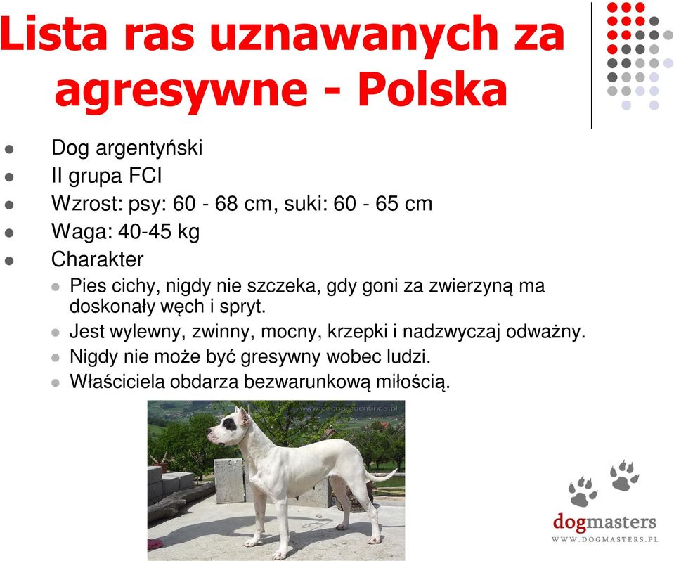 za zwierzyną ma doskonały węch i spryt.