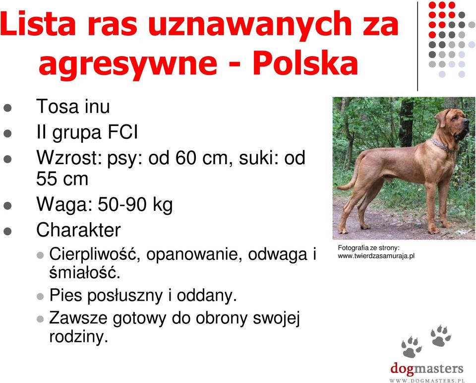 Cierpliwość, opanowanie, odwaga i śmiałość. Pies posłuszny i oddany.