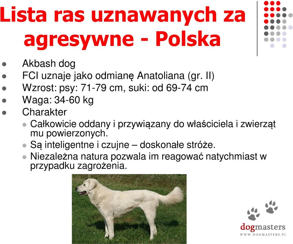 oddany i przywiązany do właściciela i zwierząt mu powierzonych.