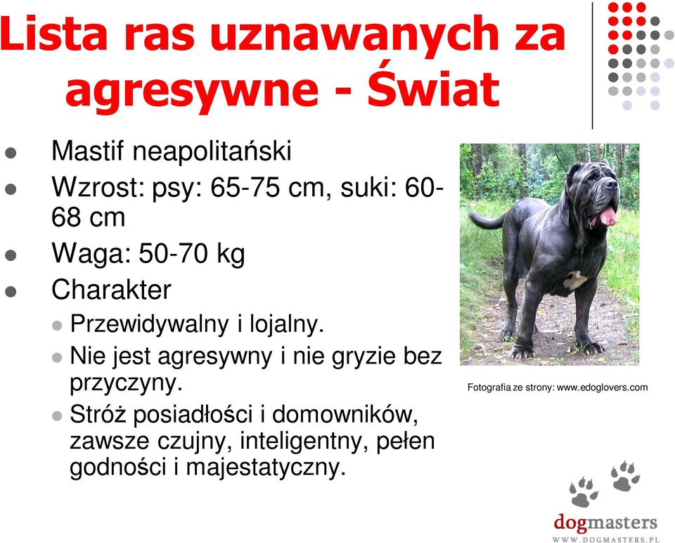 Nie jest agresywny i nie gryzie bez przyczyny.