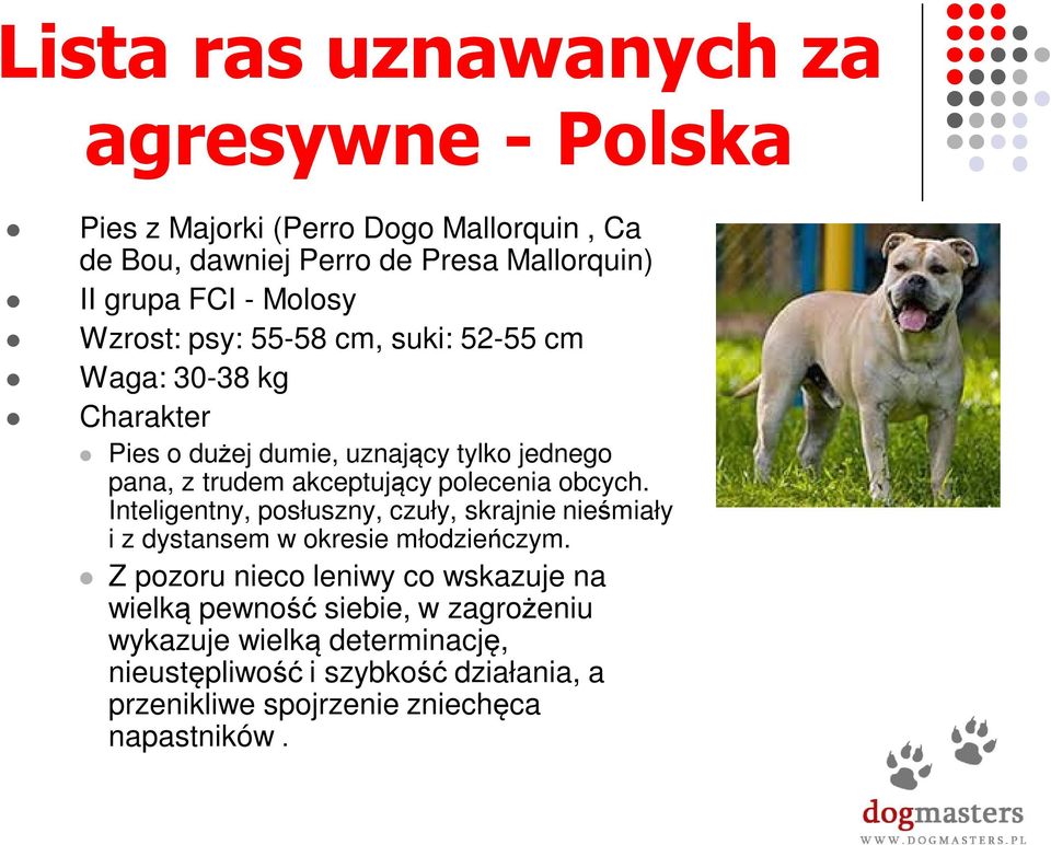 polecenia obcych. Inteligentny, posłuszny, czuły, skrajnie nieśmiały i z dystansem w okresie młodzieńczym.