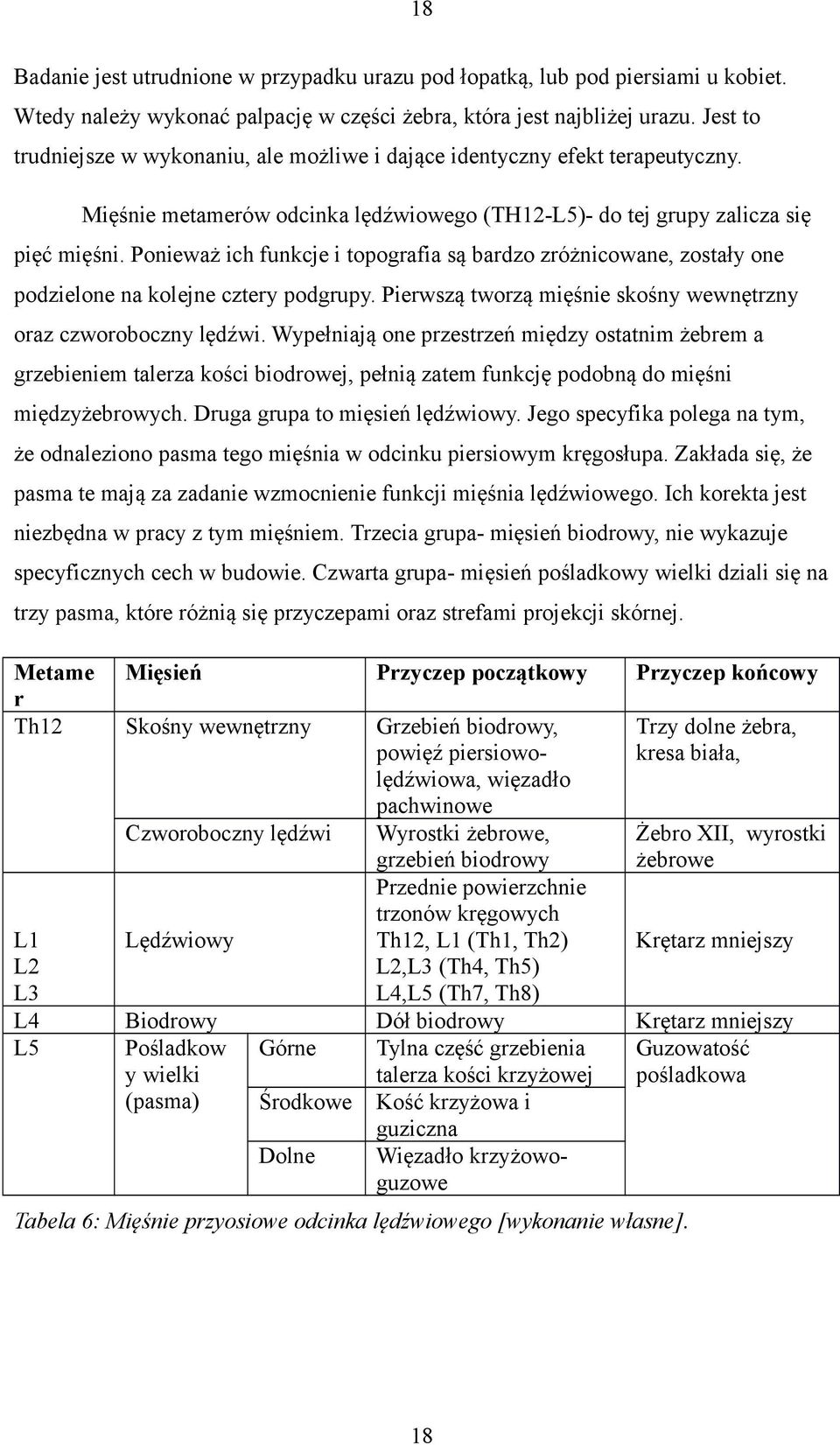 Ponieważ ich funkcje i topografia są bardzo zróżnicowane, zostały one podzielone na kolejne cztery podgrupy. Pierwszą tworzą mięśnie skośny wewnętrzny oraz czworoboczny lędźwi.