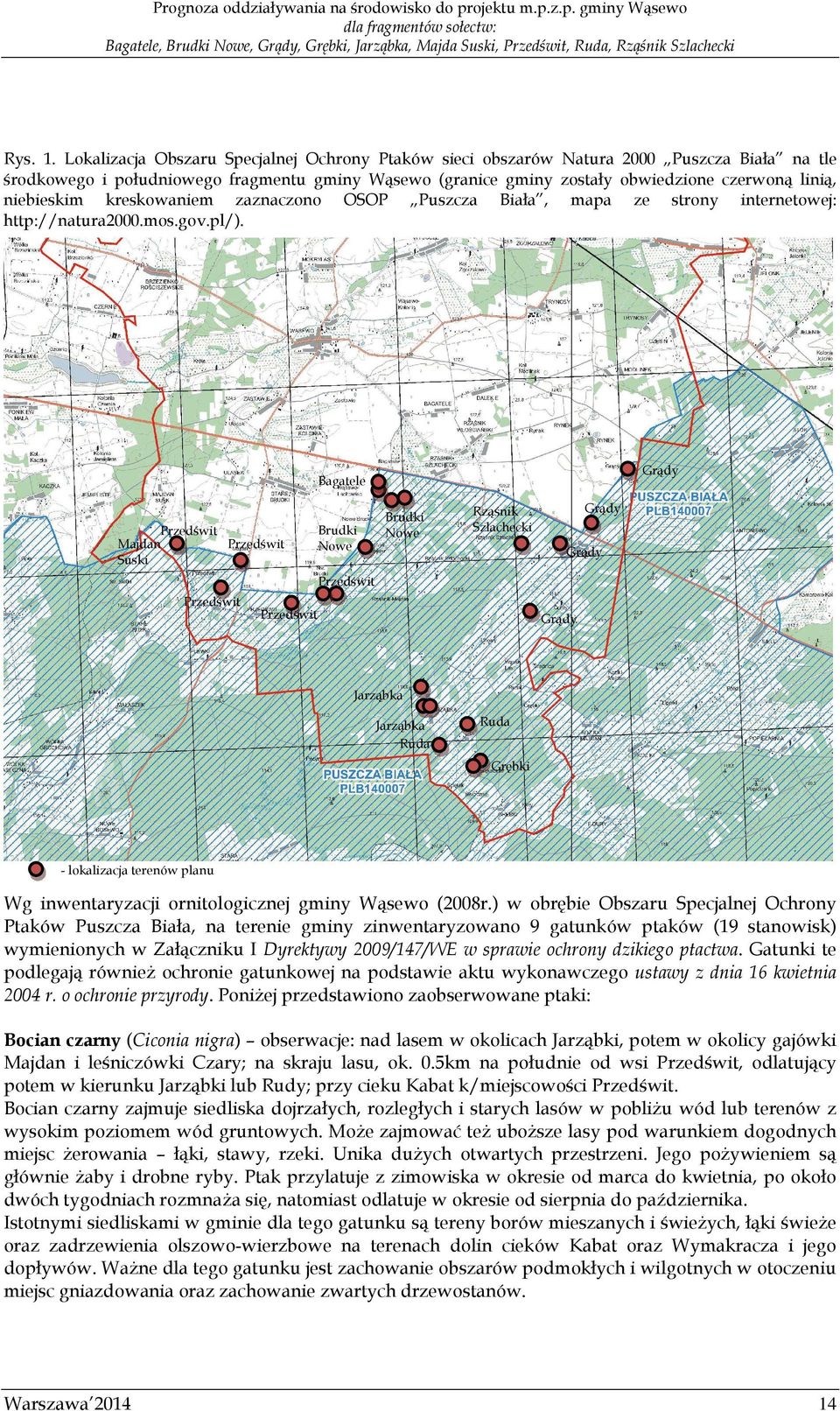 niebieskim kreskowaniem zaznaczono OSOP Puszcza Biała, mapa ze strony internetowej: http://natura2000.mos.gov.pl/).