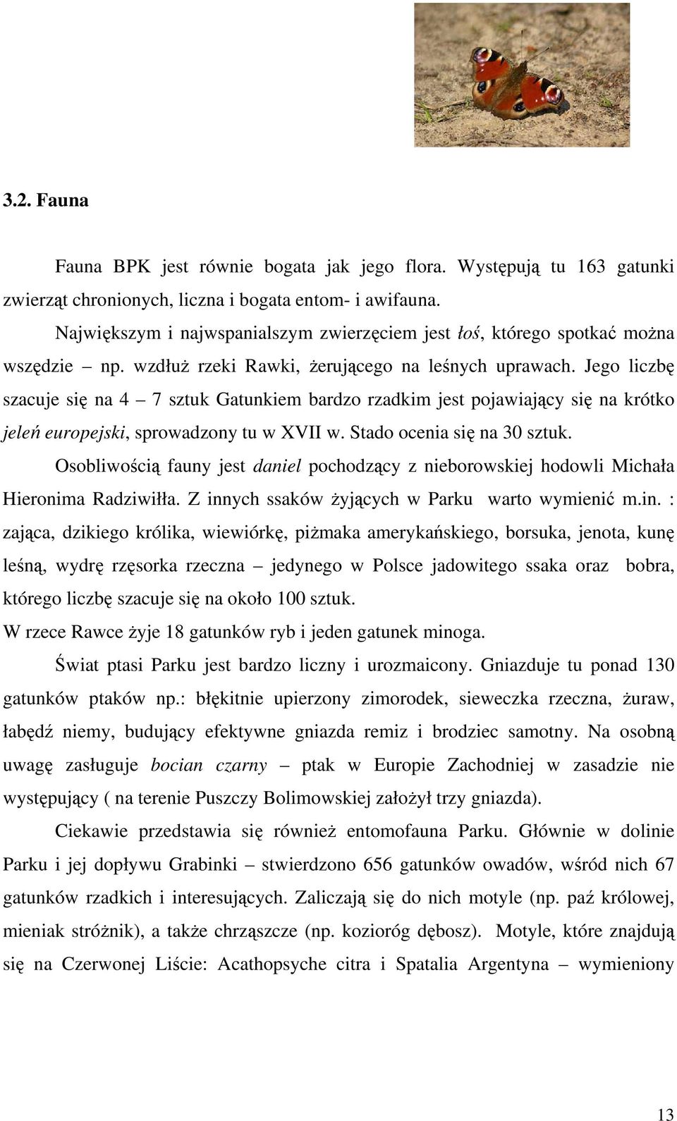 Jego liczbę szacuje się na 4 7 sztuk Gatunkiem bardzo rzadkim jest pojawiający się na krótko jeleń europejski, sprowadzony tu w XVII w. Stado ocenia się na 30 sztuk.