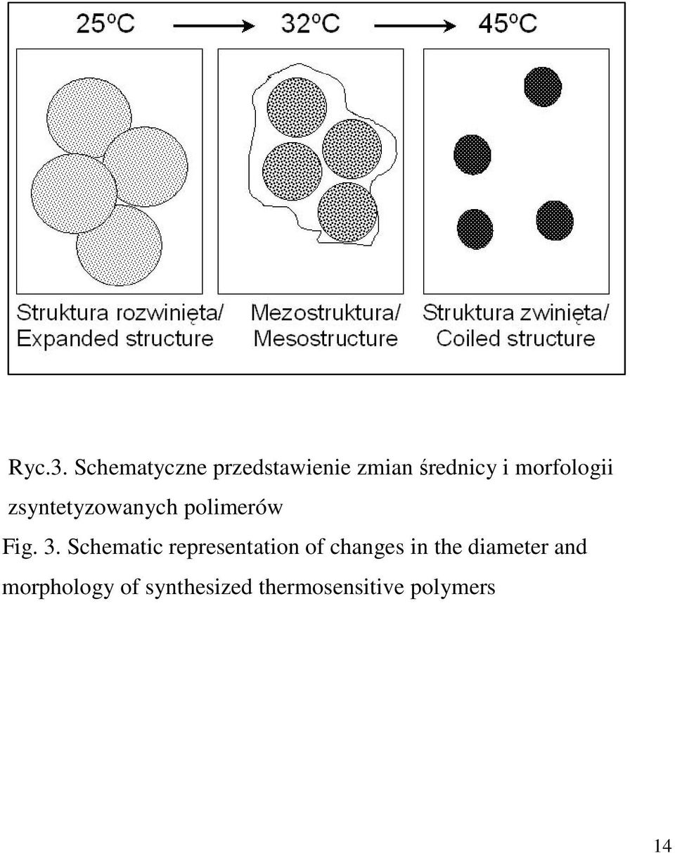 morfologii zsyntetyzowanych polimerów Fig. 3.