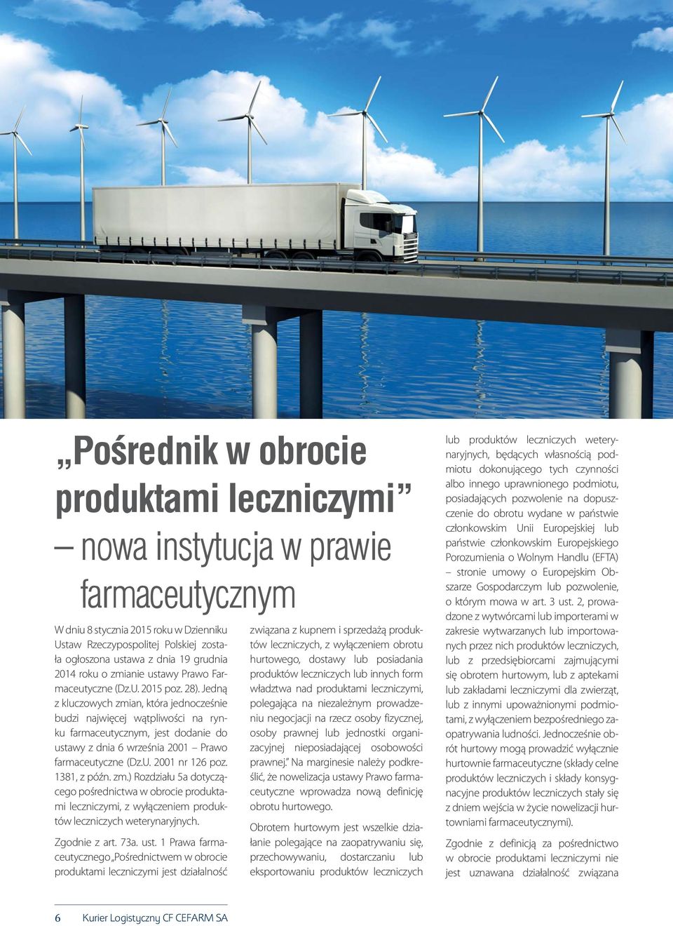 Jedną z kluczowych zmian, która jednocześnie budzi najwięcej wątpliwości na rynku farmaceutycznym, jest dodanie do ustawy z dnia 6 września 2001 Prawo farmaceutyczne (Dz.U. 2001 nr 126 poz.