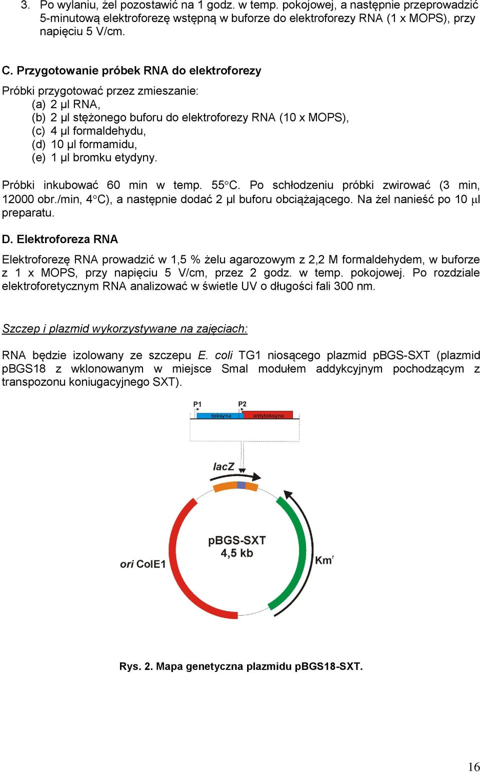 (e) 1 µl bromku etydyny. Próbki inkubować 60 min w temp. 55 C. Po schłodzeniu próbki zwirować (3 min, 12000 obr./min, 4 C), a następnie dodać 2 µl buforu obciążającego.