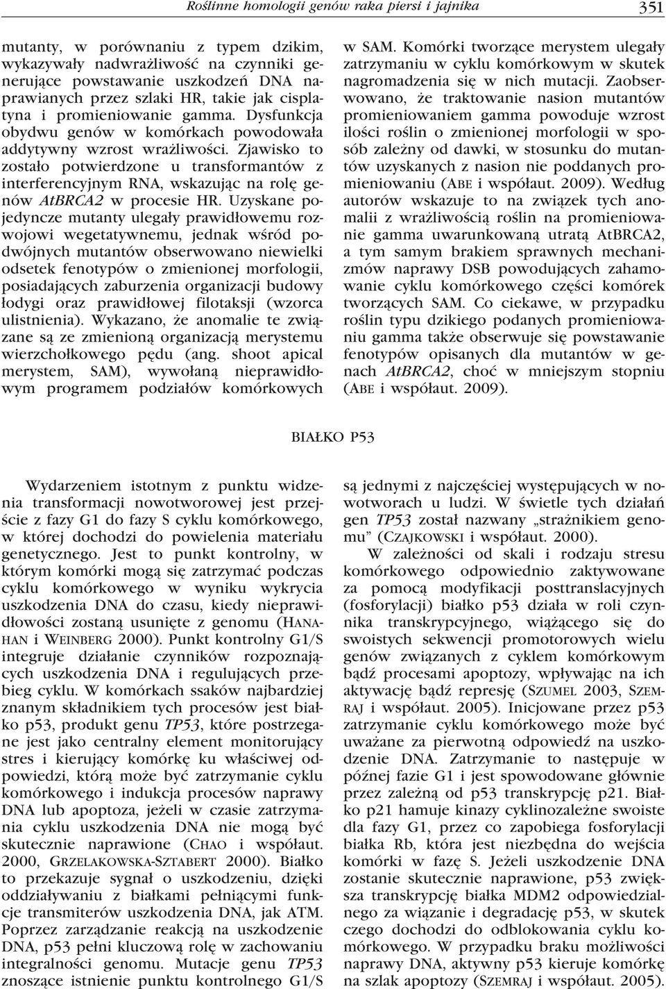 Zjawisko to zostało potwierdzone u transformantów z interferencyjnym RNA, wskazując na rolę genów AtBRCA2 w procesie HR.