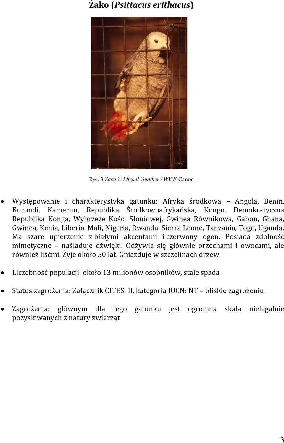 Kości Słoniowej, Gwinea Równikowa, Gabon, Ghana, Gwinea, Kenia, Liberia, Mali, Nigeria, Rwanda, Sierra Leone, Tanzania, Togo, Uganda. Ma szare upierzenie z białymi akcentami i czerwony ogon.