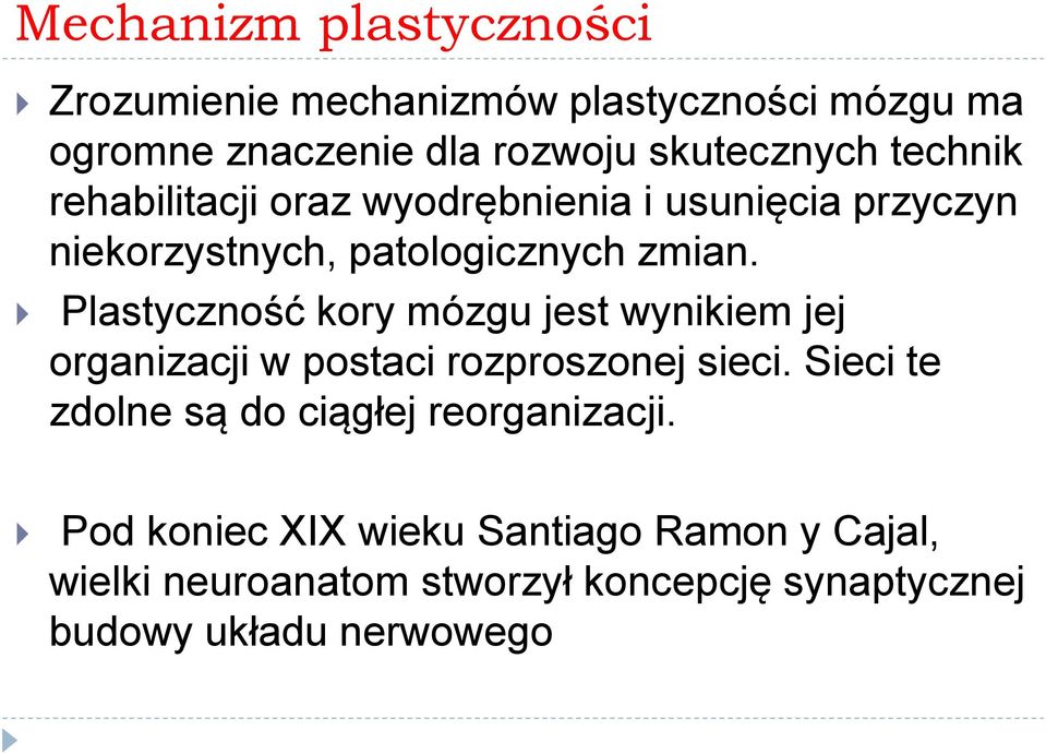 Plastyczność kory mózgu jest wynikiem jej organizacji w postaci rozproszonej sieci.