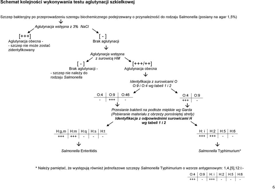 wstępna z surowicą HM [ - ] [+++/++] O:4 O:9 O:46 - +++ - Aglutynacja obecna Identyfikacja z surowicami O O:9 i O:4 wg tabeli 1 i 2 O:4 O:9 +++ - Przesianie bakterii na podłoże miękkie wg Garda