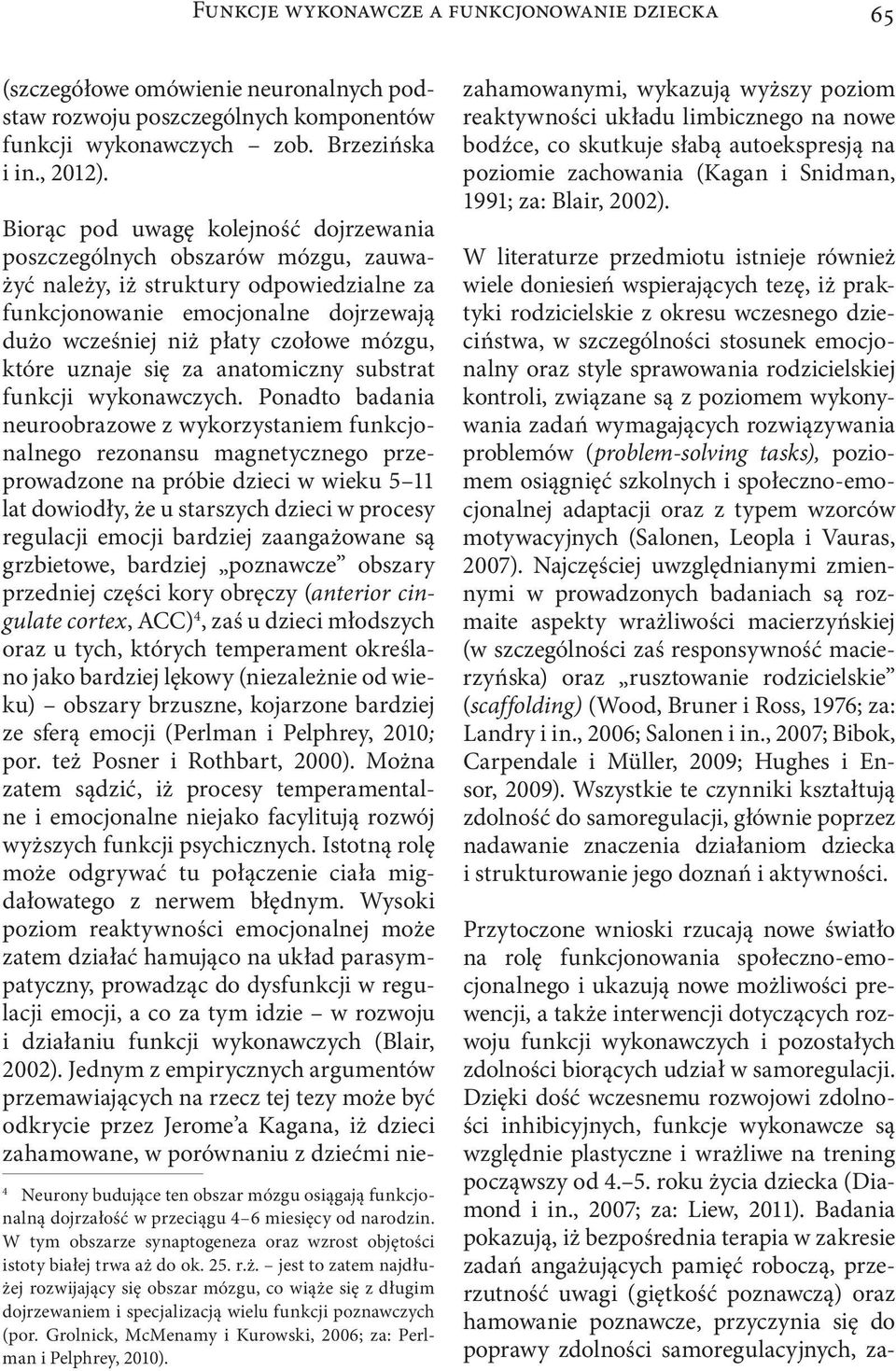 które uznaje się za anatomiczny substrat funkcji wykonawczych.