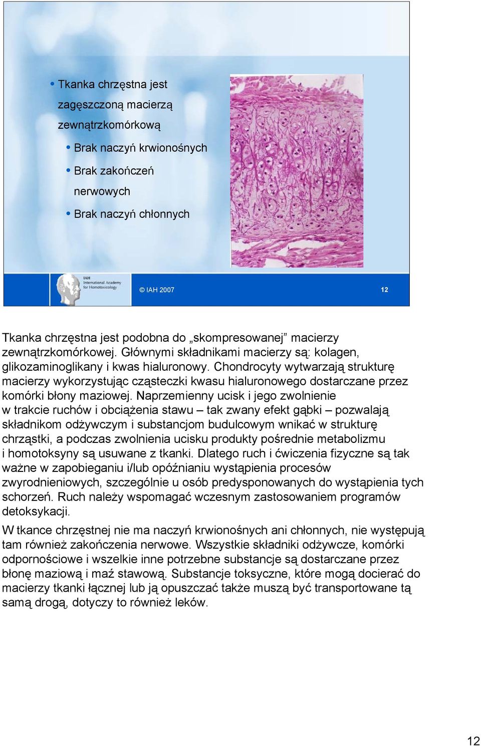 Chondrocyty wytwarzają strukturę macierzy wykorzystując cząsteczki kwasu hialuronowego dostarczane przez komórki błony maziowej.