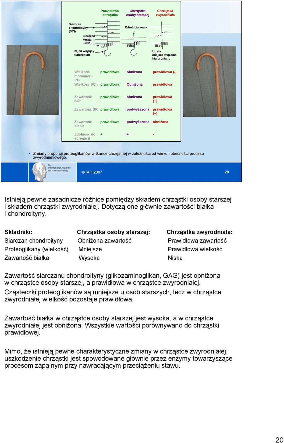 Zawartość białka prawidłowa podwyższona obniżona Zdolność do agregacji + + - Zmiany proporcji proteoglikanów w tkance chrzęstnej w zależności od wieku i obecności procesu zwyrodnieniowego.