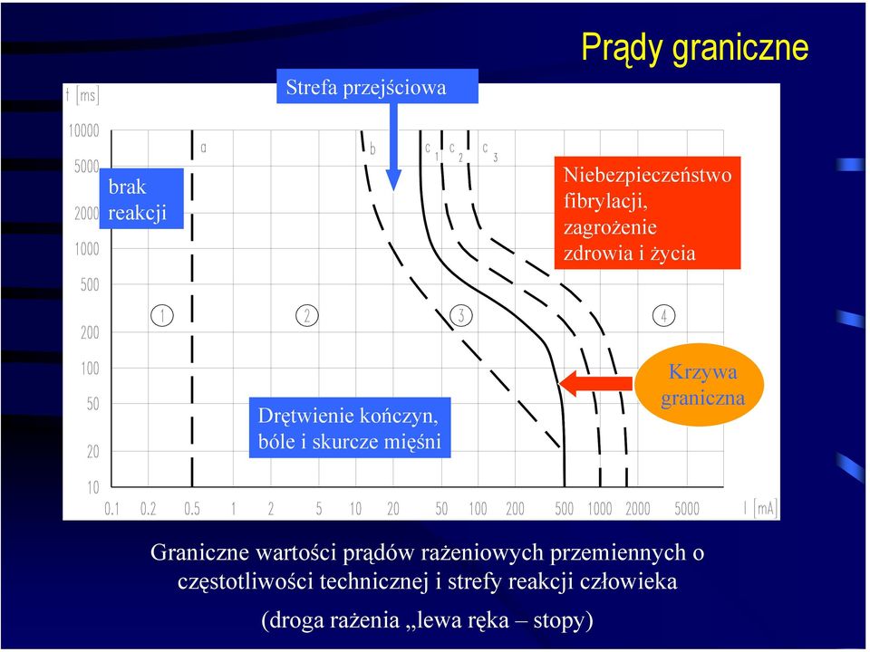 mięśni Krzywa graniczna Graniczne wartości prądów rażeniowych przemiennych