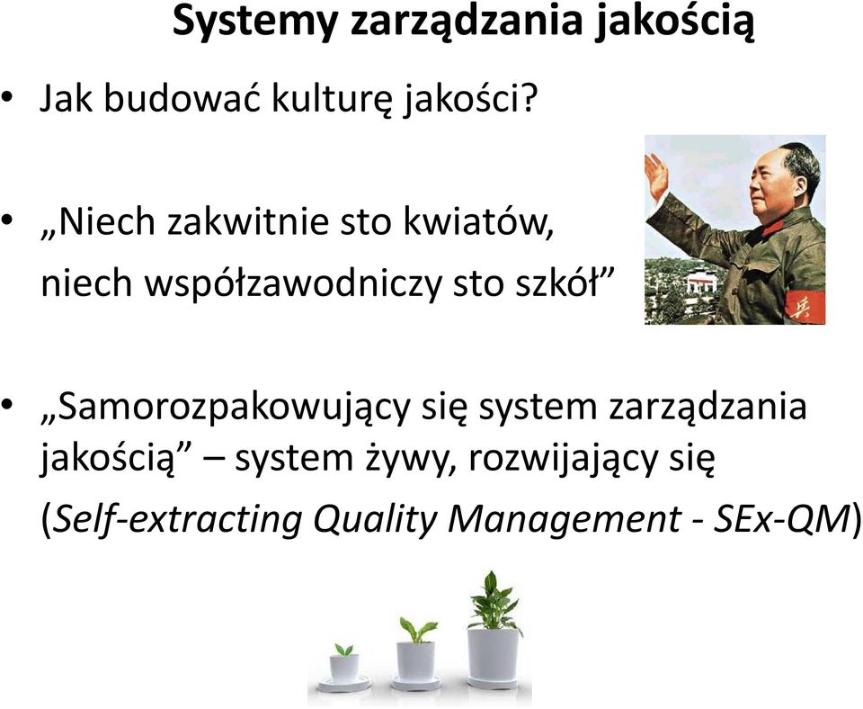 Samorozpakowujący się system zarządzania jk jakością ś system