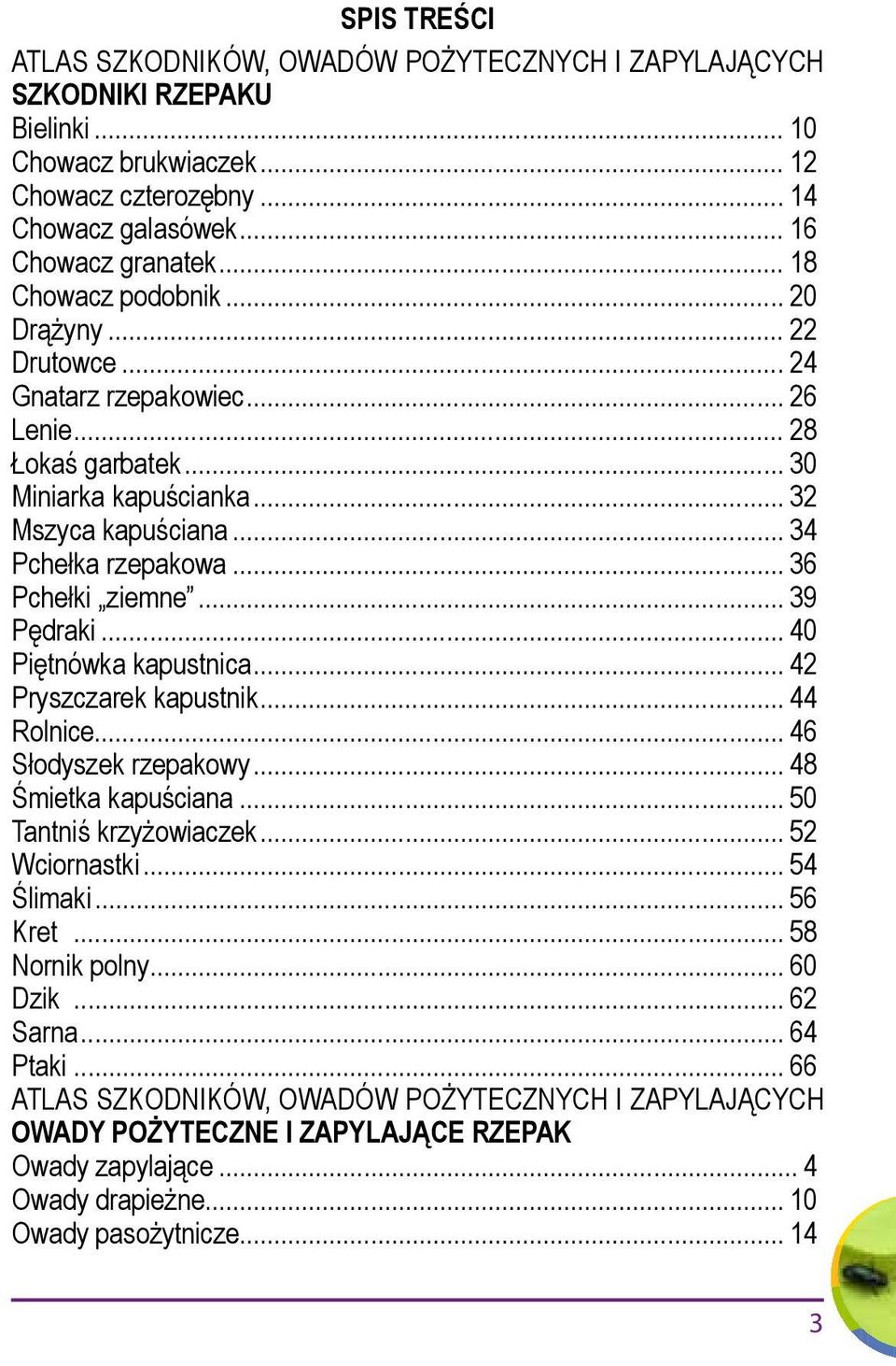 .. 36 Pchełki ziemne... 39 Pędraki... 40 Piętnówka kapustnica... 42 Pryszczarek kapustnik... 44 Rolnice... 46 Słodyszek rzepakowy... 48 Śmietka kapuściana... 50 Tantniś krzyżowiaczek... 52 Wciornastki.