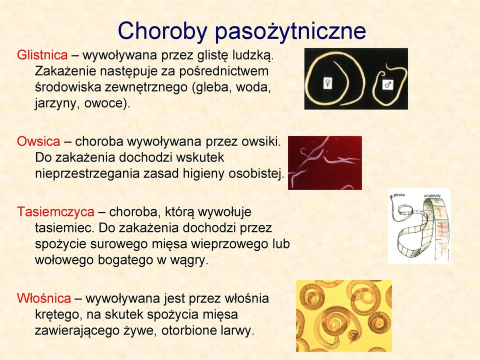 Owsica choroba wywoływana przez owsiki. Do zakażenia dochodzi wskutek nieprzestrzegania zasad higieny osobistej.