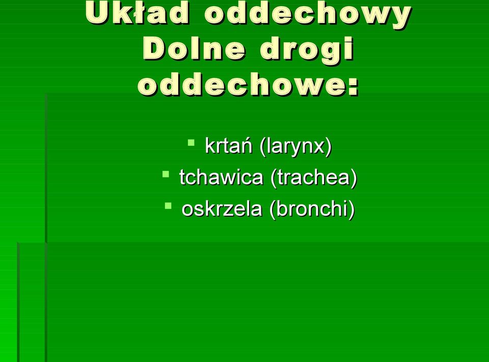 (larynx) tchawica