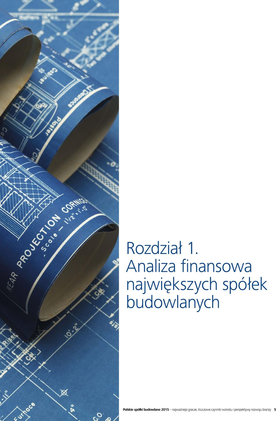 budowlanych Polskie spółki budowlane 2015