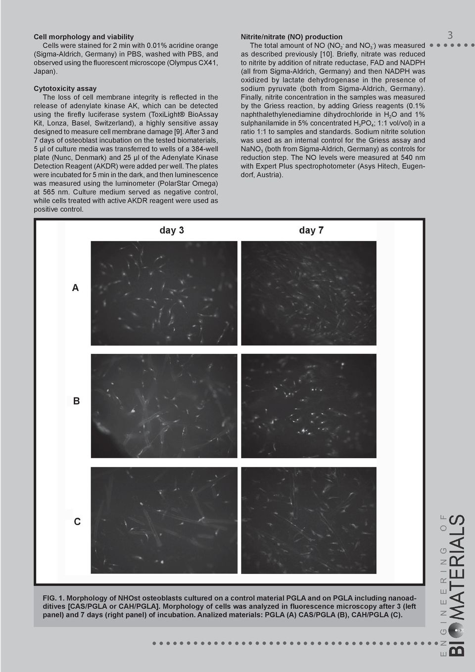 Cytotoxicity assay The loss of cell membrane integrity is reflected in the release of adenylate kinase AK, which can be detected using the firefly luciferase system (ToxiLight BioAssay Kit, Lonza,