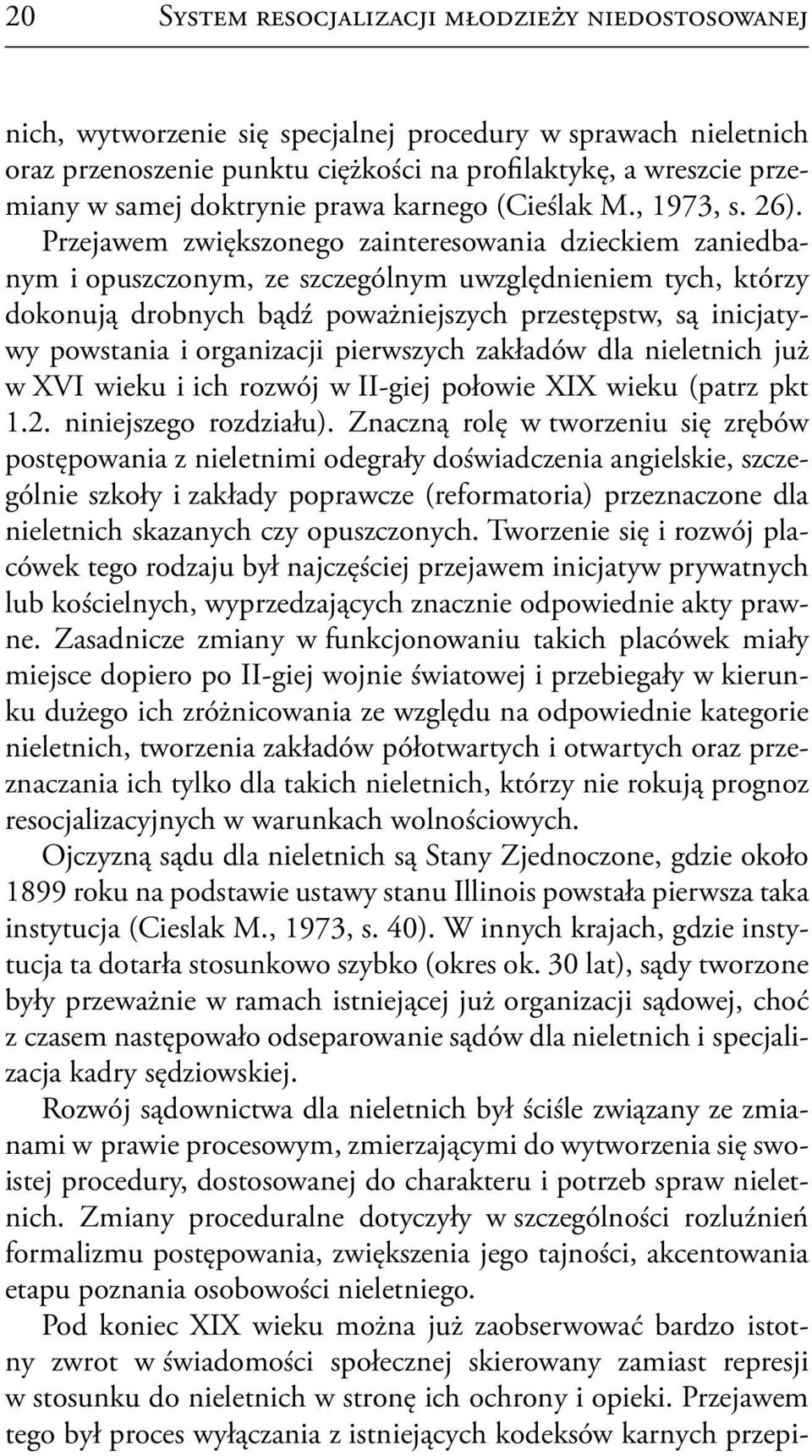 Przejawem zwiększonego zainteresowania dzieckiem zaniedbanym i opuszczonym, ze szczególnym uwzględnieniem tych, którzy dokonują drobnych bądź poważniejszych przestępstw, są inicjatywy powstania i