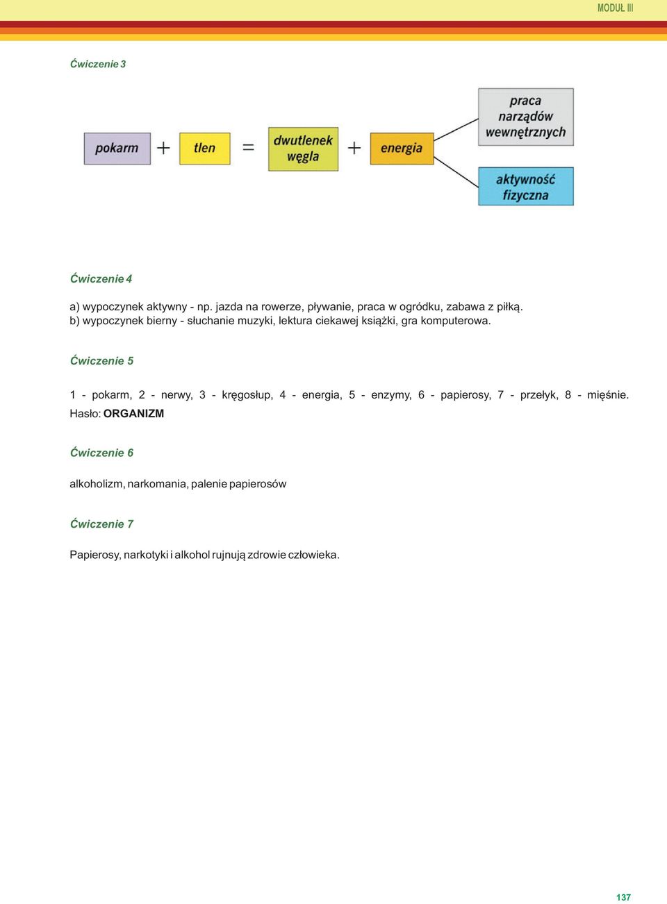 Ćwiczenie 5 1 pokarm, 2 nerwy, 3 kręgosłup, 4 energia, 5 enzymy, 6 papierosy, 7 przełyk, 8 mięśnie.