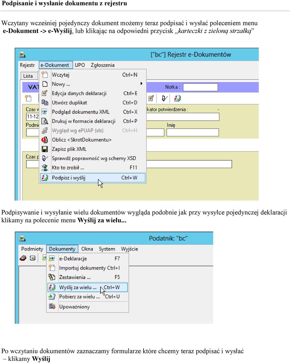 Podpisywanie i wysyłanie wielu dokumentów wygląda podobnie jak przy wysyłce pojedynczej deklaracji klikamy na