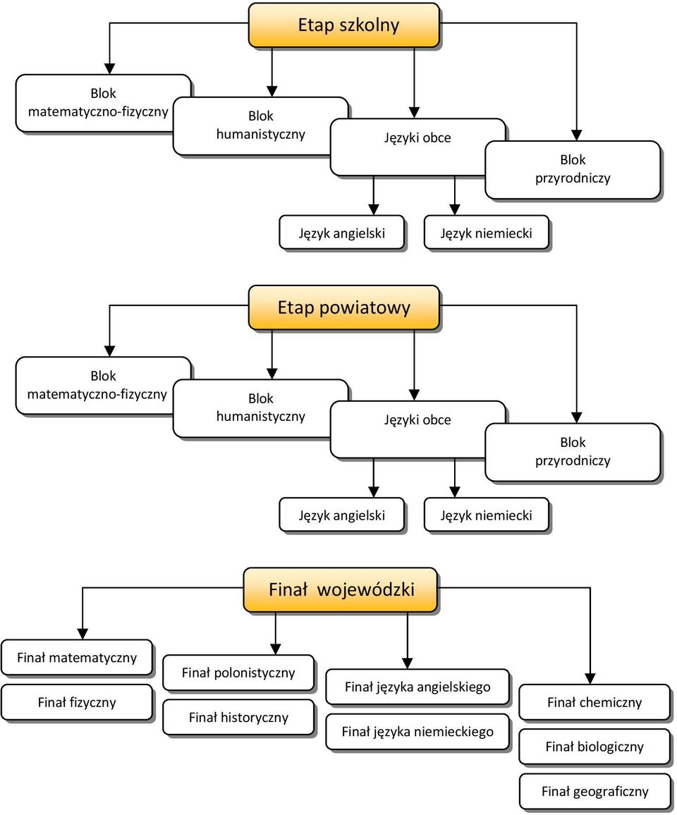 Język angielski Język niemiecki Finał wojewódzki Finał matematyczny Finał fizyczny Finał polonistyczny Finał