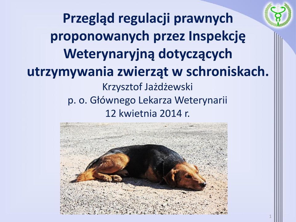 zwierząt w schroniskach. Krzysztof Jażdżewski p.