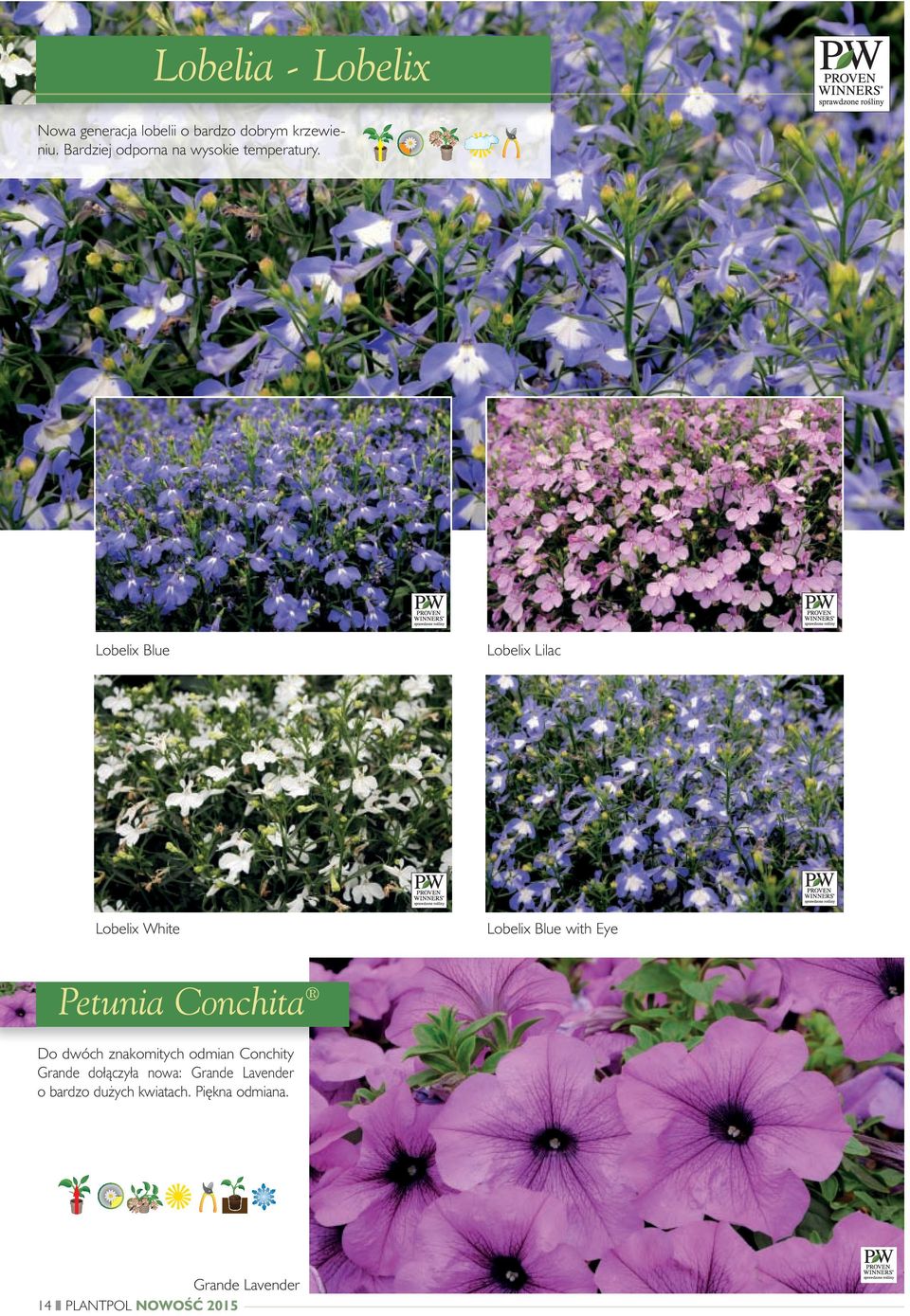 Lobelix Blue Lobelix Lilac Lobelix White Lobelix Blue with Eye Petunia Conchita Do