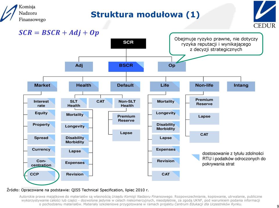 Morbidity Premium Reserve Lapse Longevity Disability Morbidity Lapse Lapse CAT Currency Concentration Lapse Expenses Expenses Revision dostosowanie z