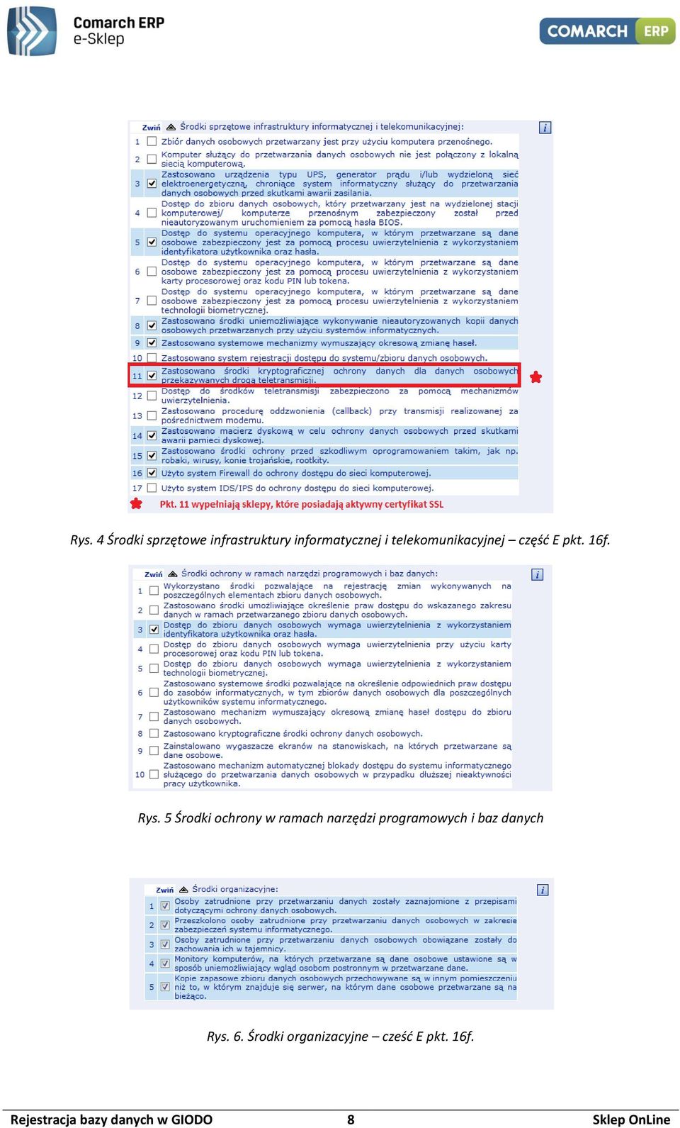 5 Środki ochrony w ramach narzędzi programowych i baz danych