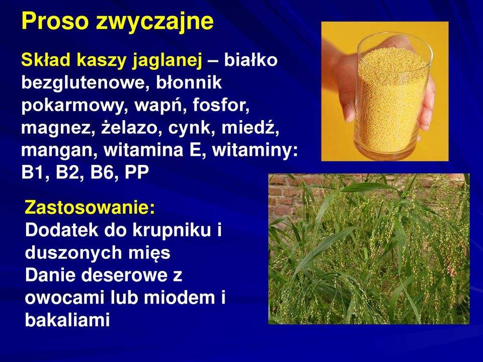 witamina E, witaminy: B1, B2, B6, PP Zastosowanie: Dodatek do