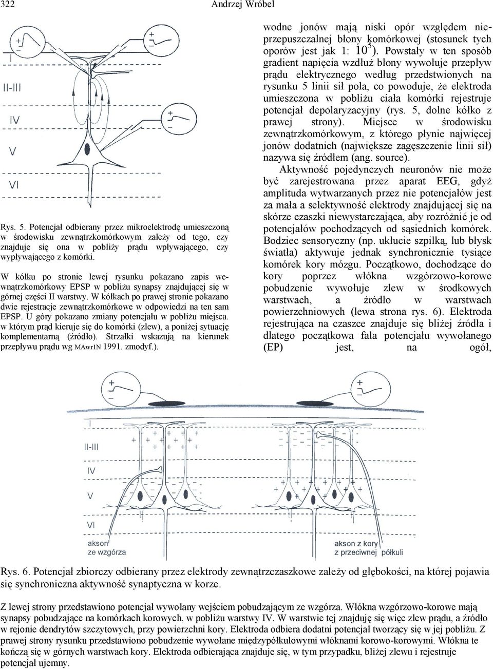W kółku po stronie lewej rysunku pokazano zapis wewnątrzkomórkowy EPSP w pobliżu synapsy znajdującej się w górnej części II warstwy.