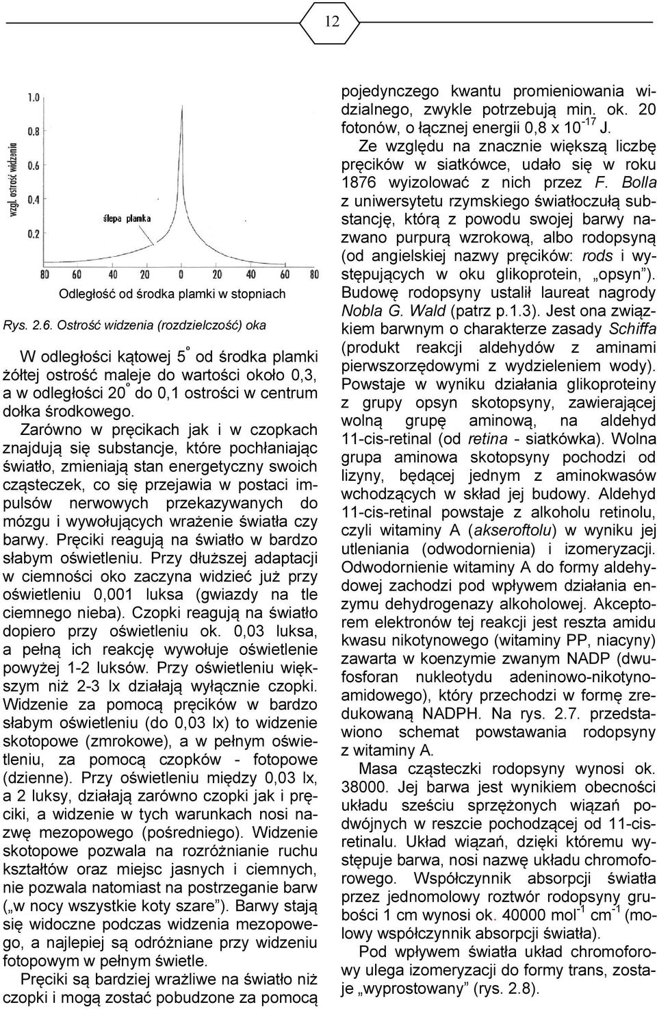 Zarówno w pręcikach jak i w czopkach znajdują się substancje, które pochłaniając światło, zmieniają stan energetyczny swoich cząsteczek, co się przejawia w postaci impulsów nerwowych przekazywanych