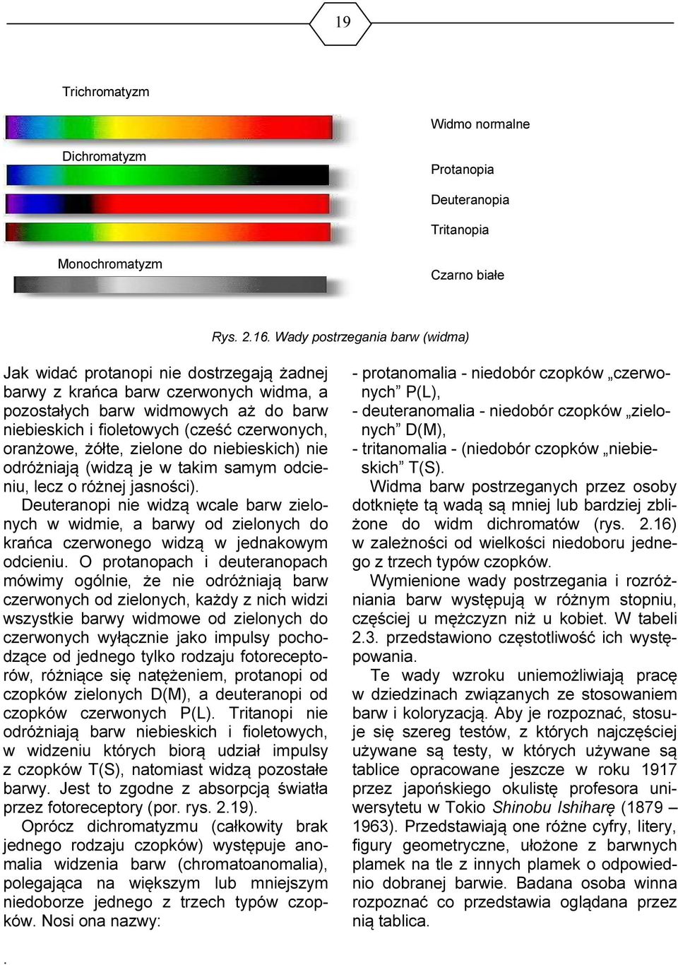 oranżowe, żółte, zielone do niebieskich) nie odróżniają (widzą je w takim samym odcieniu, lecz o różnej jasności).